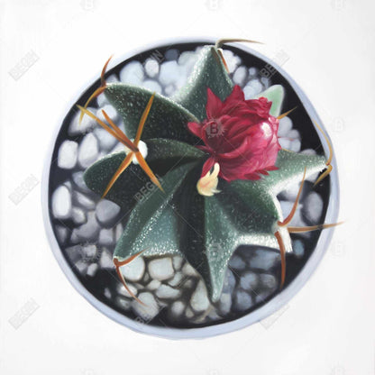 Cactus en pot – Toile encadrée botanique blanche pour décoration intérieure