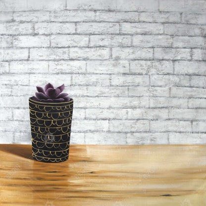 Succulente en pot | Toile encadrée florale et botanique