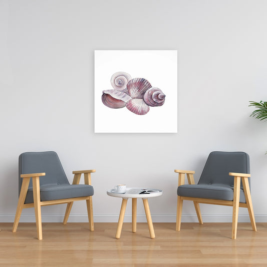 Seaside Shells Marine Canvas | Coastal Bathroom Wall Art