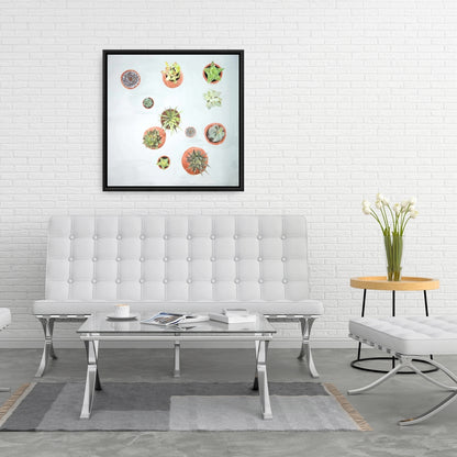 Toile encadrée Cactus - Décoration florale et botanique pour la maison