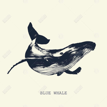 Blue Whale Sketch Bathroom Canvas | Aquatic Home Decor