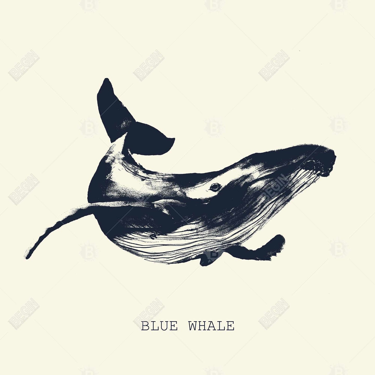 Blue Whale Sketch Framed Canvas | Illustrative Home Decor