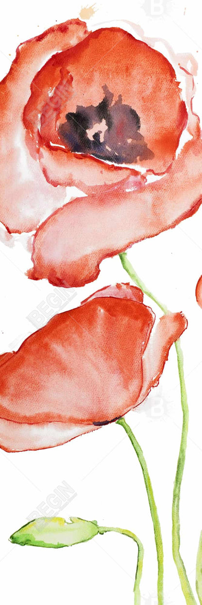 Watercolor Poppies Framed Canvas - Botanical Red Home Decor