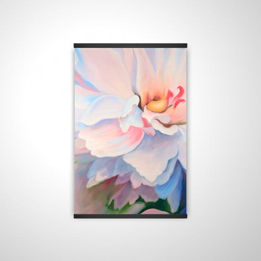 20"x30"