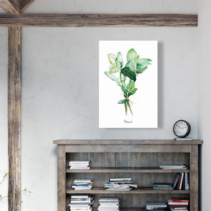 Tied Up Basil Leaves Bundle Canvas | Home Decor Art