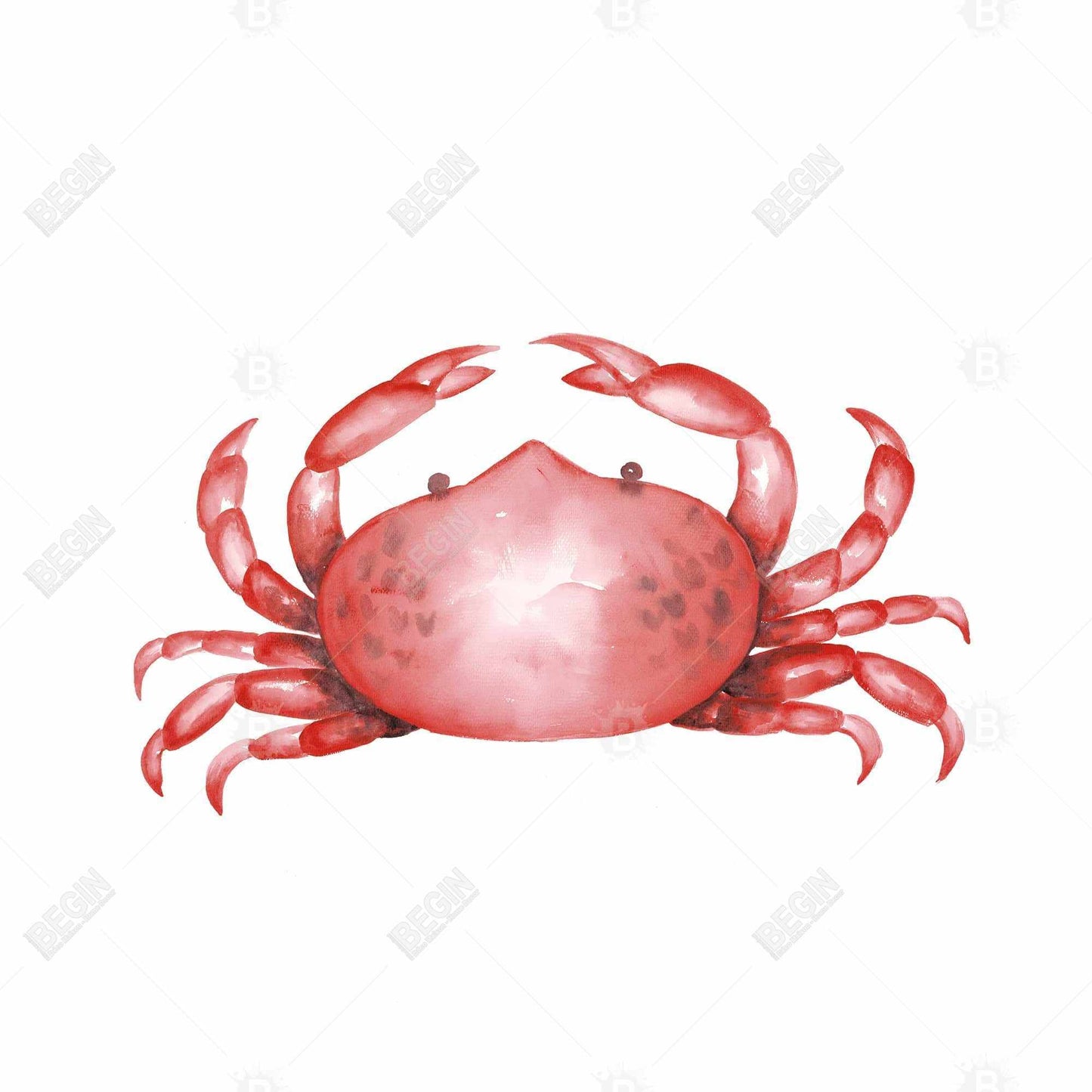 Crab Kitchen Canvas Art - Marine Decor for Home