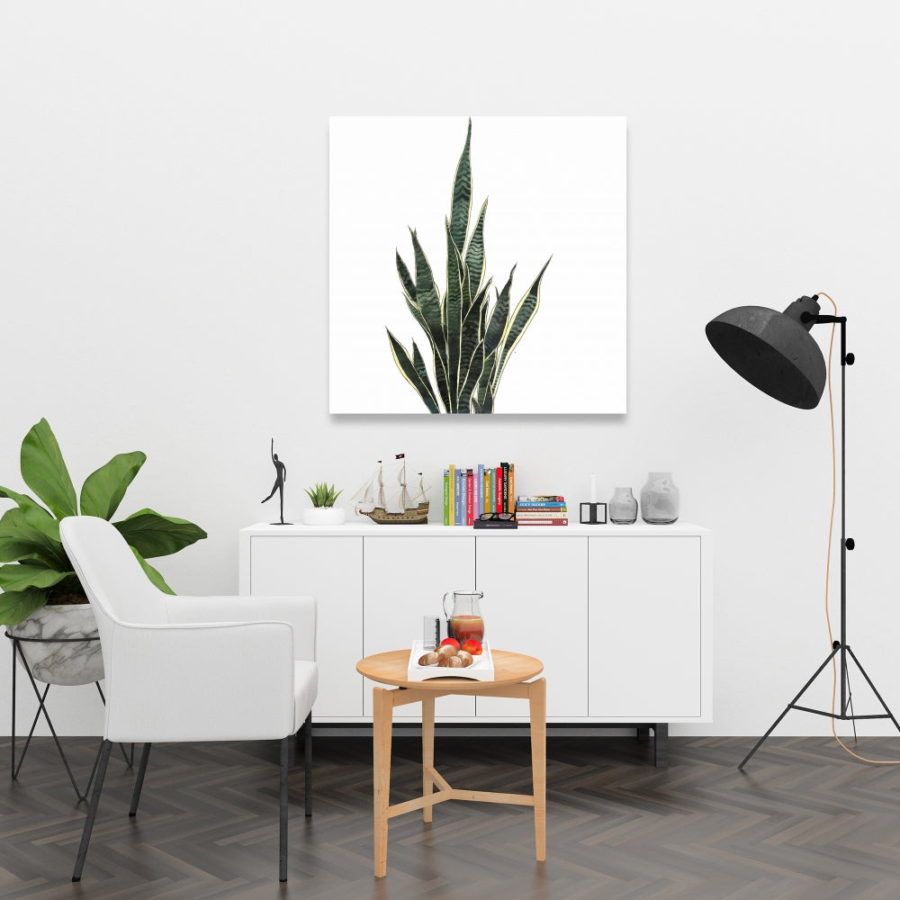 Exotic Snake Plant Canvas | Floral & Botanical Home Decor