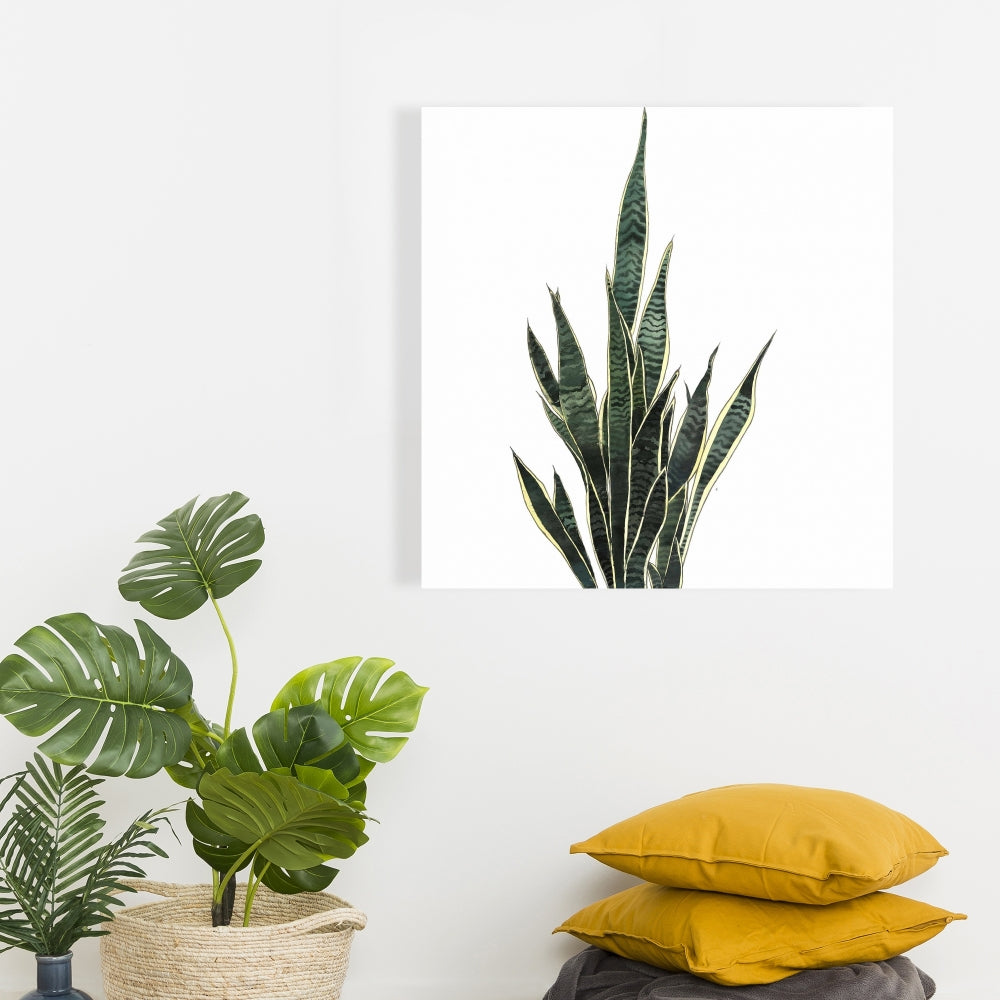 Exotic Snake Plant Canvas | Floral & Botanical Home Decor