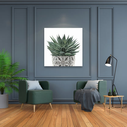 Zebra Plant Succulent Canvas - Botanical Bedroom Wall Art