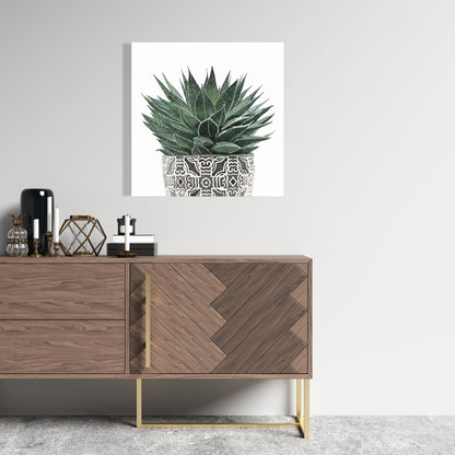 Zebra Plant Succulent Canvas - Botanical Bedroom Wall Art