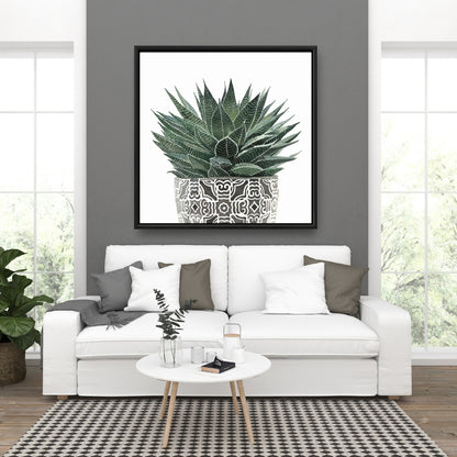 White Floral & Botanical Canvas - Zebra Plant Succulent Decor
