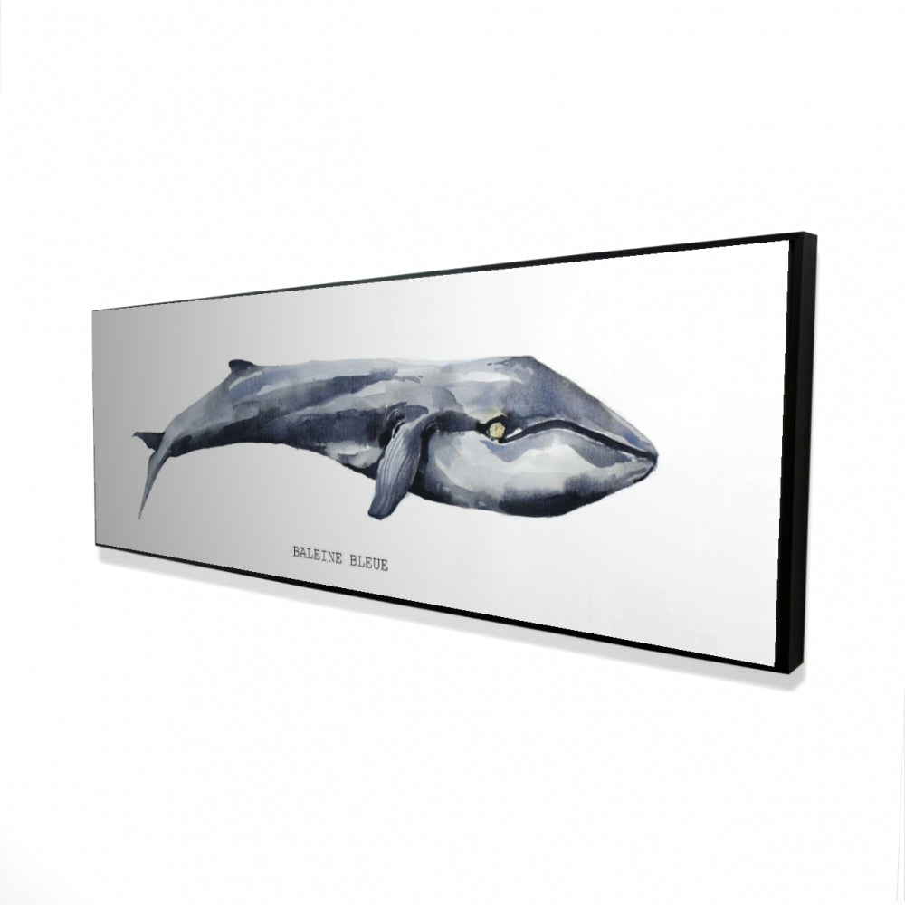 16"x48"