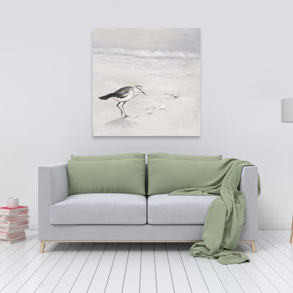 Semipalmated Sandpiper Canvas | Bird Marine Bathroom Decor