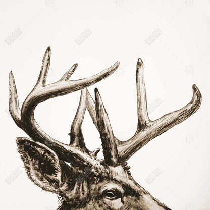 Roe Deer Plume Sepia Canvas | Living Room Wall Art Decor