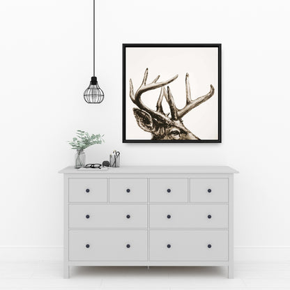 Roe Deer Plume Sepia Framed Canvas | Beige Animal Wall Art