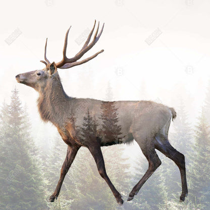 Large Plume Roe Deer Canvas | Green Frame | Home Decor