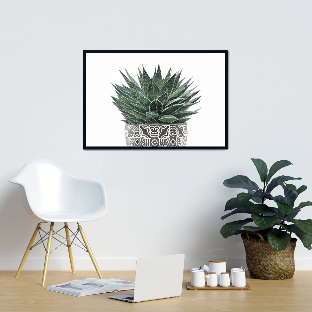 White Floral & Botanical Canvas - Zebra Plant Succulent Decor