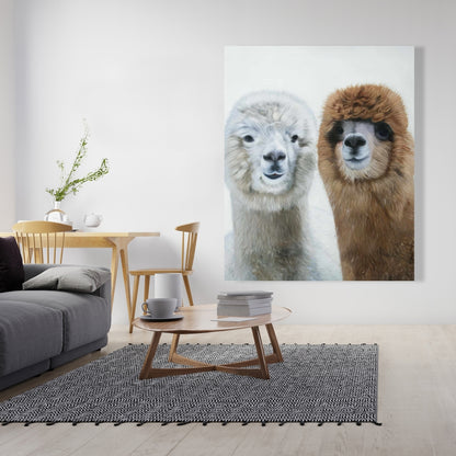 White Farm Animals Canvas - Two Llamas Home Decor Bedroom