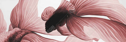 Asian Livingroom Decor | White Canvas Two Red Betta Art