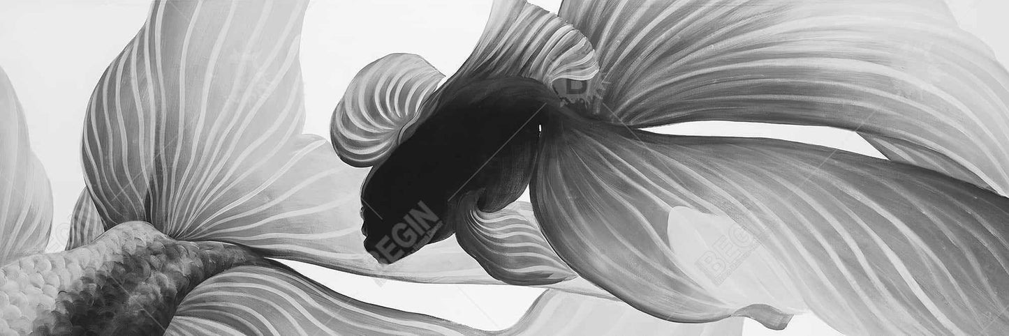 Monochrome Betta Fish Canvas | Aquatic Bedroom Wall Art Decor
