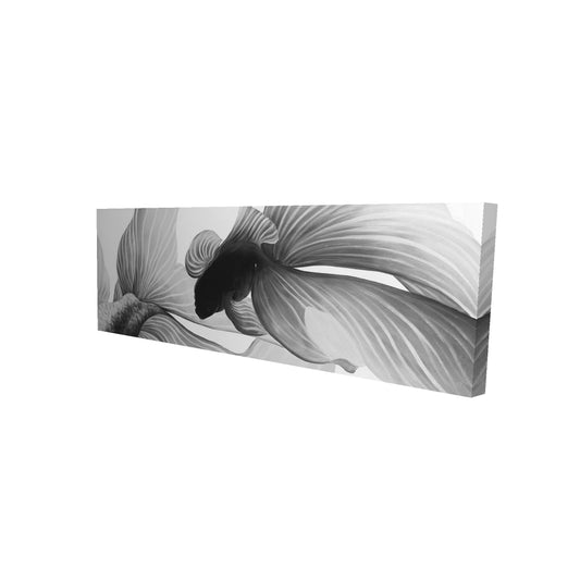 16"x48"