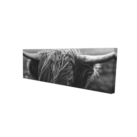 16"x48"
