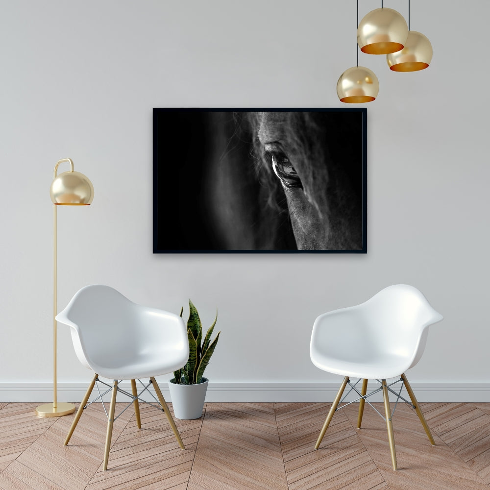 Black Horse Framed Canvas | Farm Animal Living Room Decor