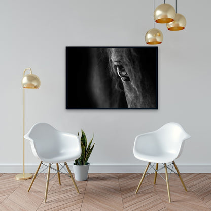 Black Horse Framed Canvas | Farm Animal Living Room Decor