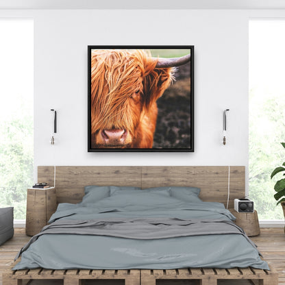 Toile représentant une vache des Highlands | Décoration de chambre avec animaux de la ferme