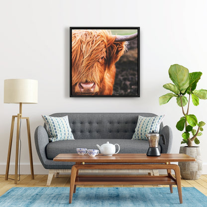 Toile représentant une vache des Highlands | Décoration de chambre avec animaux de la ferme