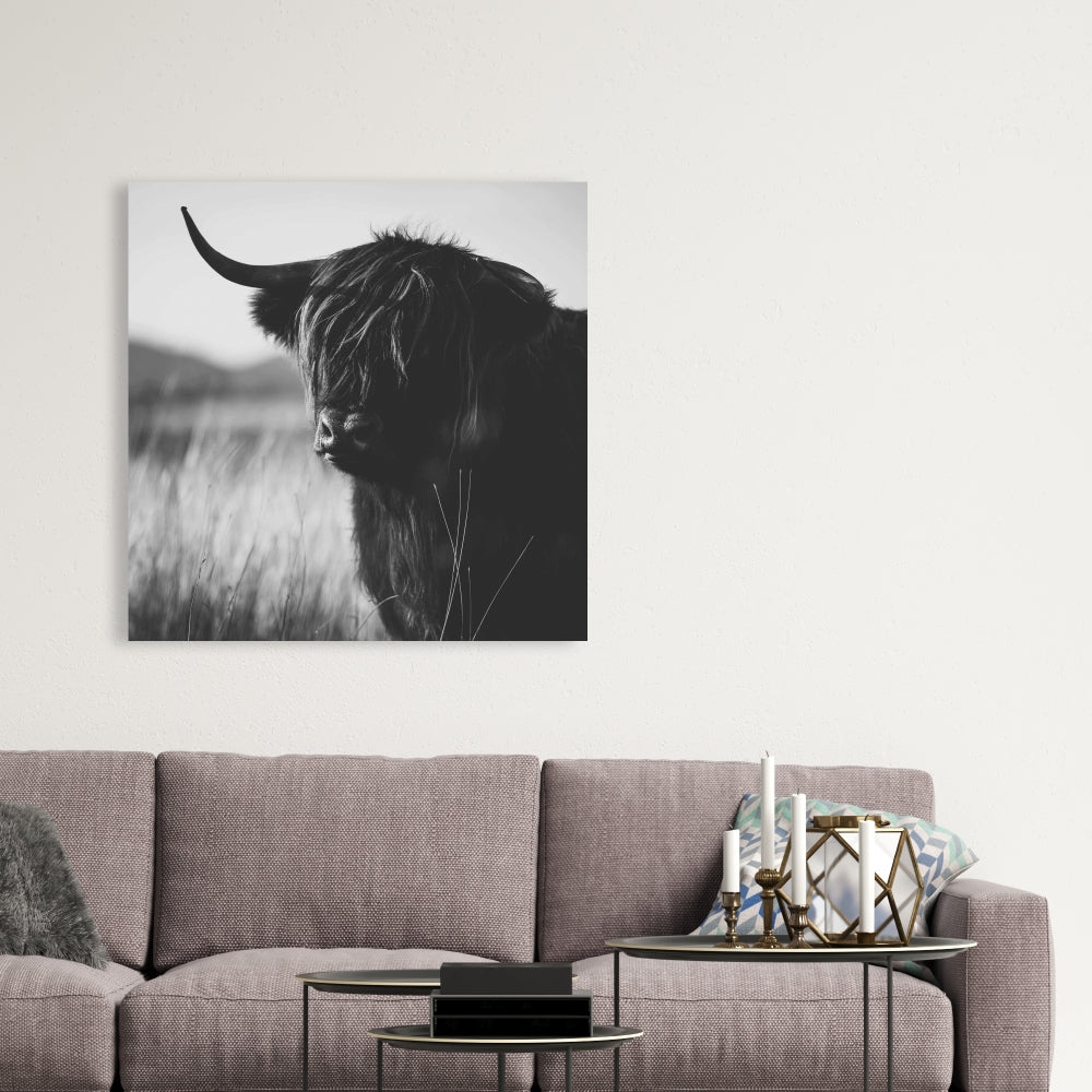 Beautiful Monochrome Highland Cow Canvas | Bedroom Farm Decor