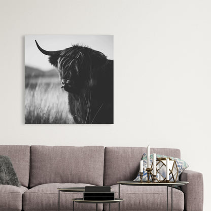 Beautiful Monochrome Highland Cow Canvas | Bedroom Farm Decor