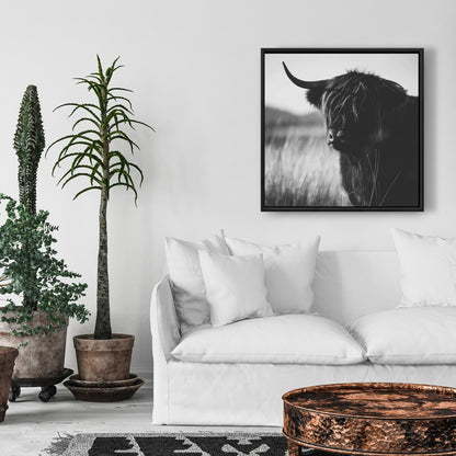Magnifique toile représentant une vache des Highlands | Décoration de chambre monochrome