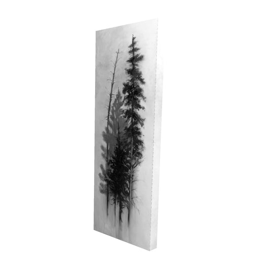 16"x48"