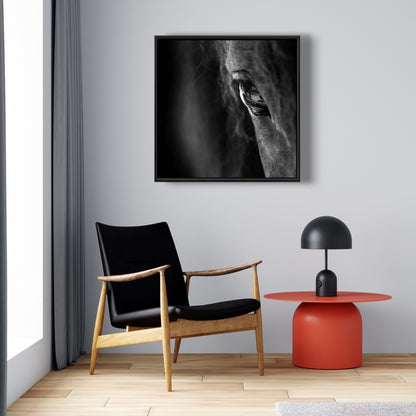 Black Horse Framed Canvas | Farm Animal Living Room Decor