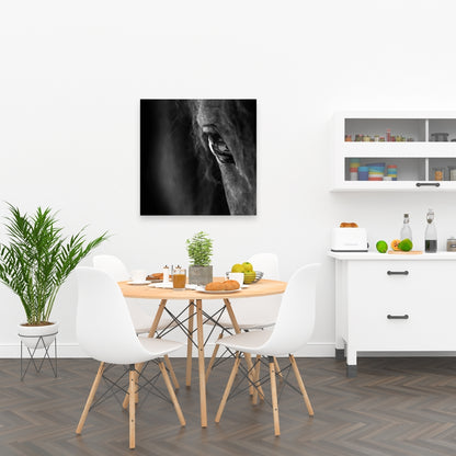 Black Horse Canvas | Monochrome Animal Art for Home Decor
