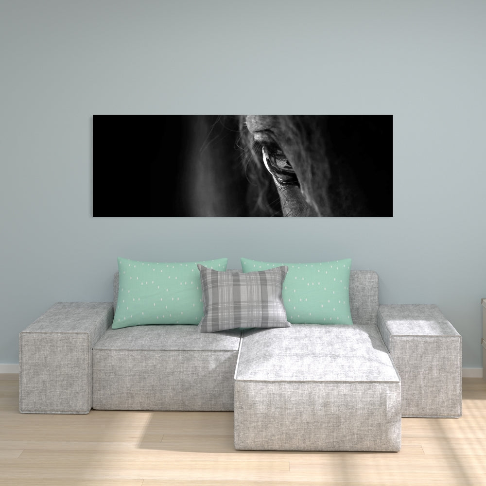 Black Horse Canvas | Monochrome Animal Art for Home Decor