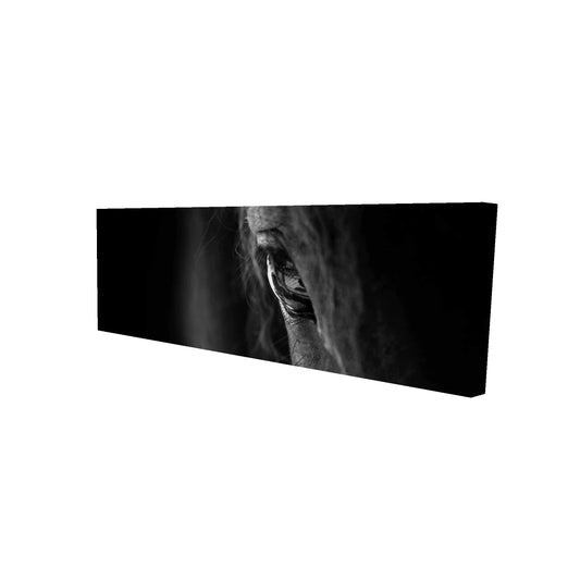 16"x48"