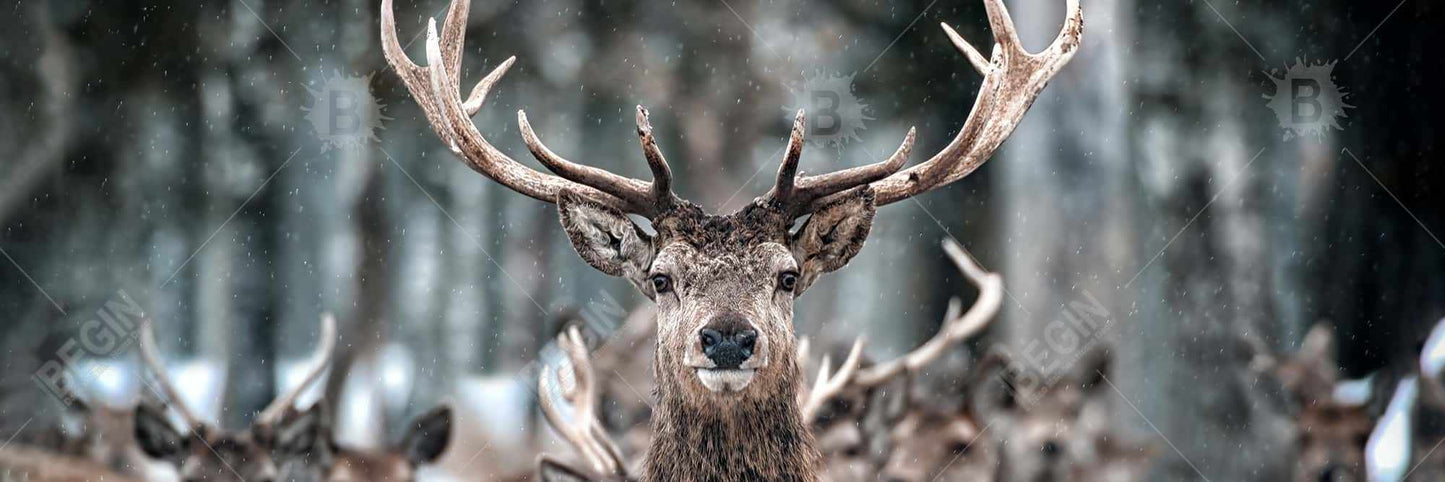 Toile encadrée rustique marron « Cerfs » | Décoration de chambre