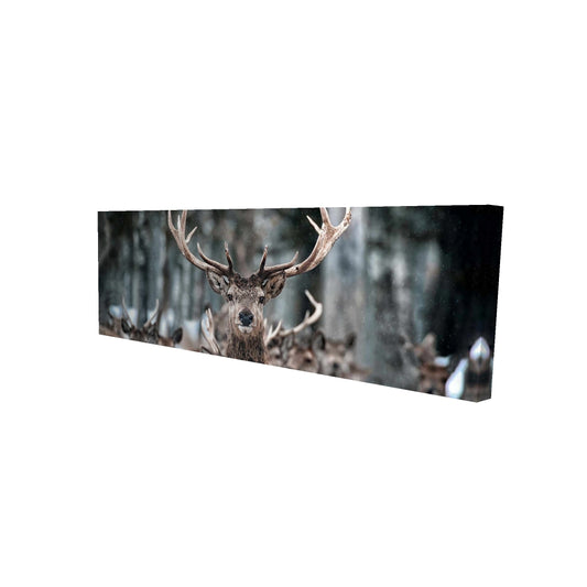 16"x48"