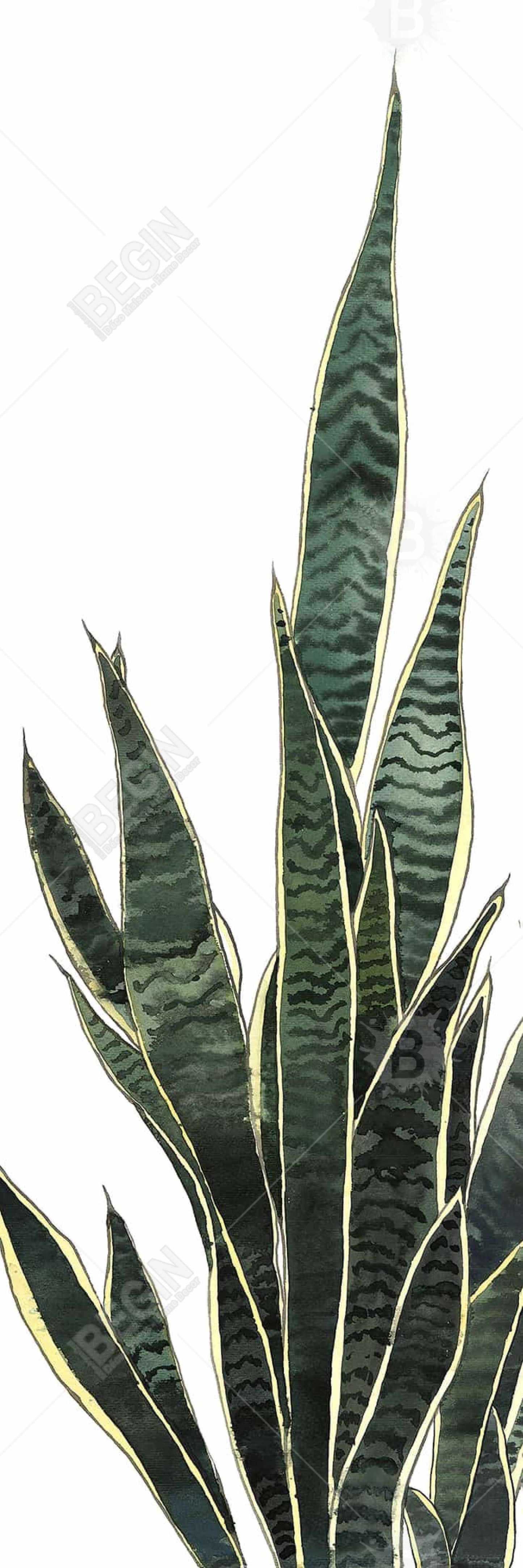 Exotic Snake Plant Canvas | Floral & Botanical Home Decor