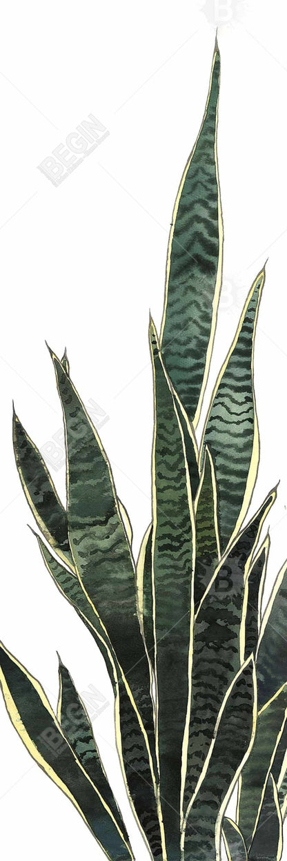 Exotic Snake Plant Canvas | Floral & Botanical Home Decor