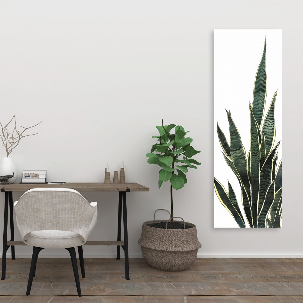Exotic Snake Plant Canvas | Floral & Botanical Home Decor