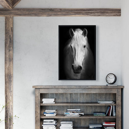 Toile encadrée Cheval monochrome | Décor animaux de la ferme blancs