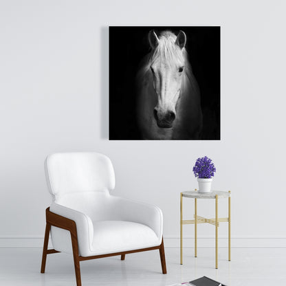 Monochrome Horse Canvas - Farm Animal Decor for Bedroom