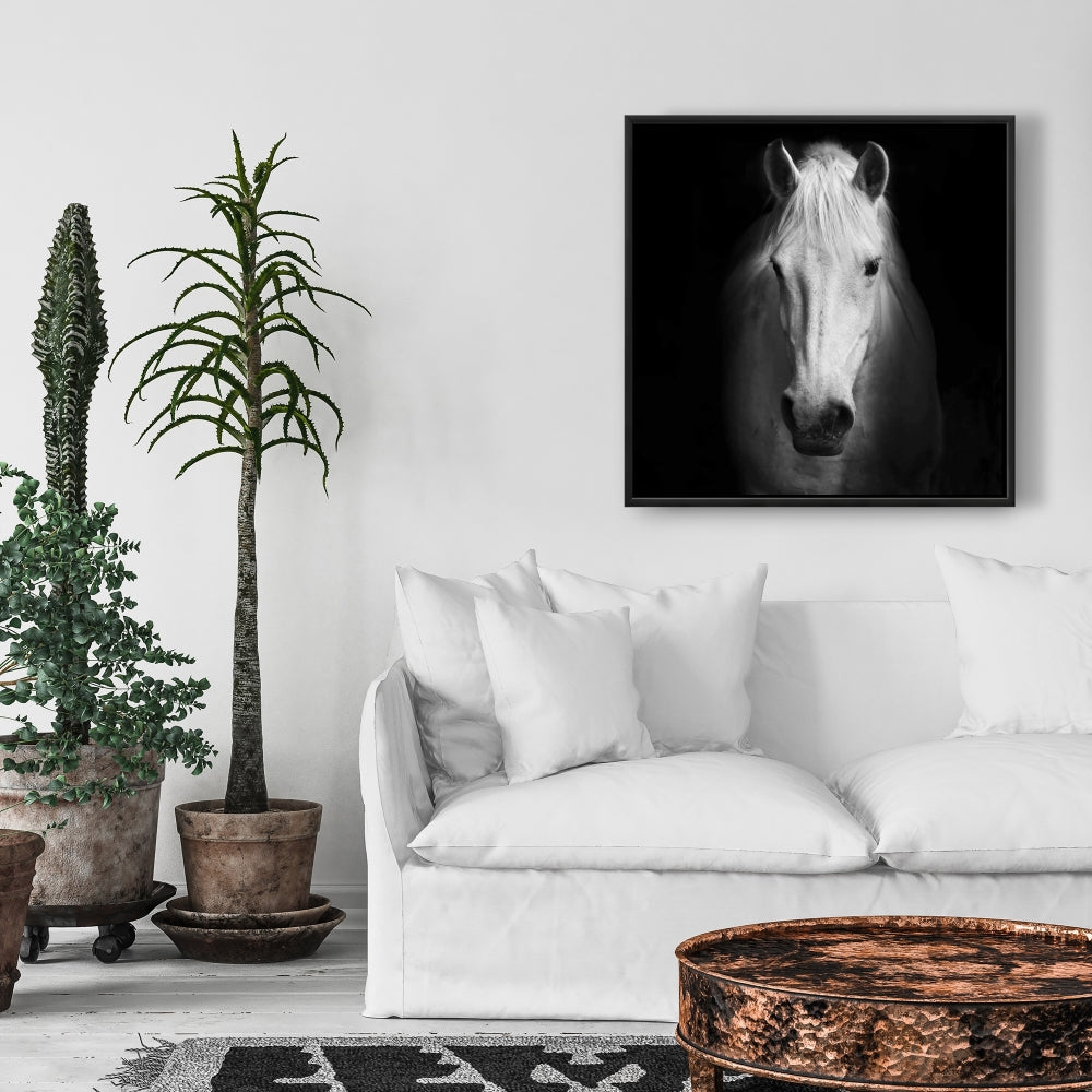 Toile encadrée Cheval monochrome | Décor animaux de la ferme blancs