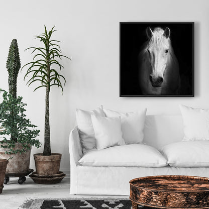 Toile encadrée Cheval monochrome | Décor animaux de la ferme blancs