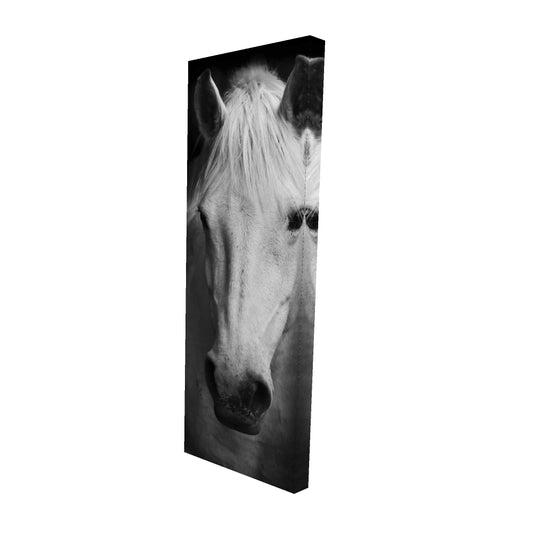 16"x48"