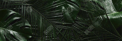 Toile Jungle tropicale | Décoration murale exotique avec feuilles vertes