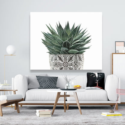 Zebra Plant Succulent Canvas - Botanical Bedroom Wall Art